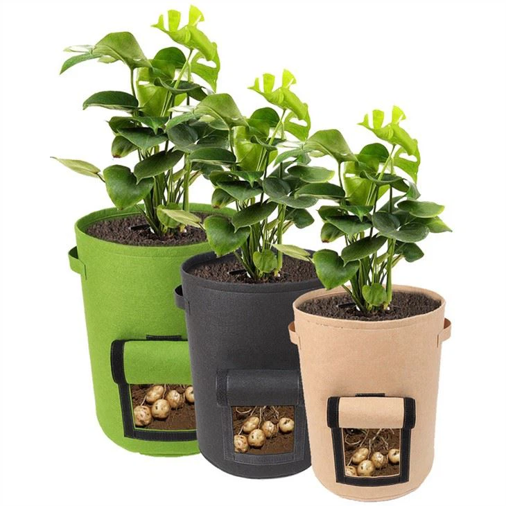 سطل کاشت سیب زمینی